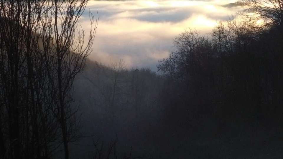 Caccia al Capriolo in Piemonte (8)