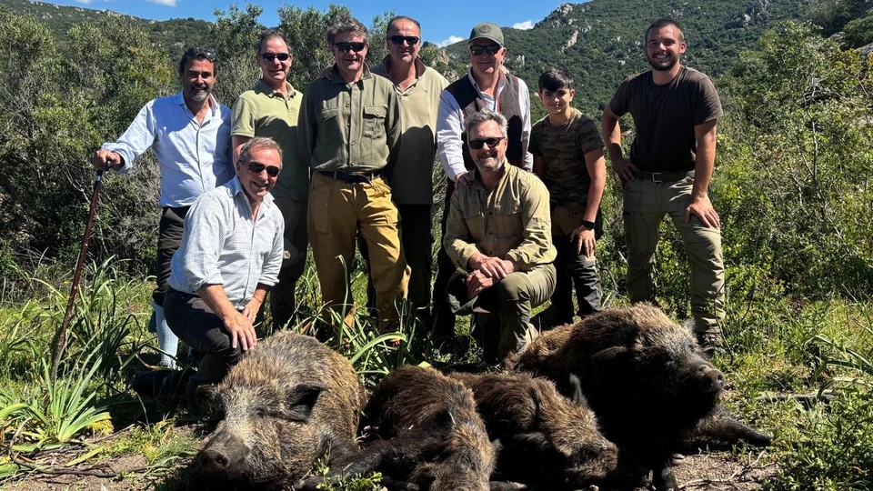 Caccia in Battuta al Cinghiale in Sardegna