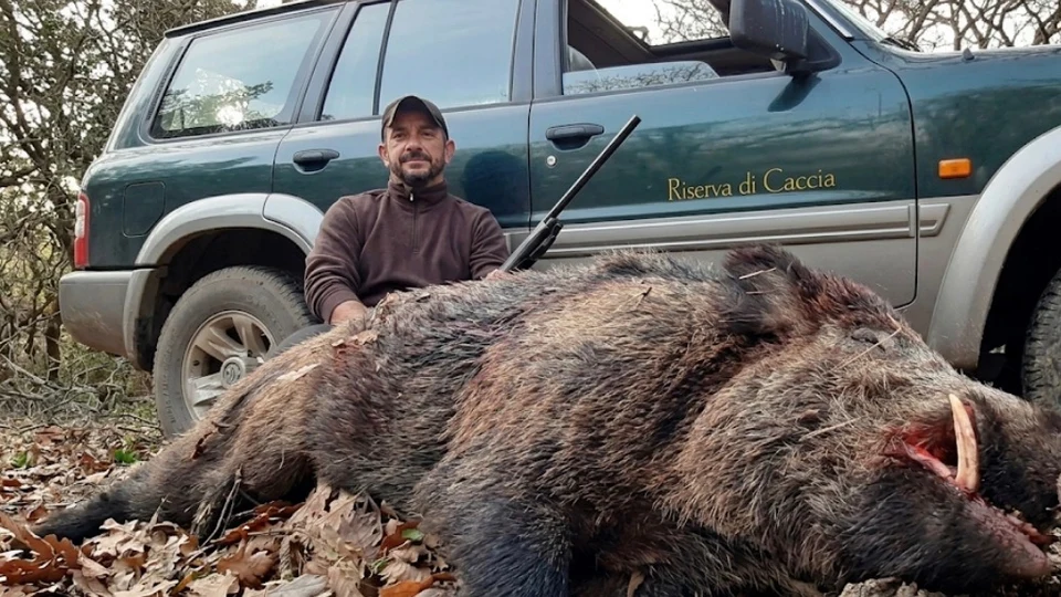 Caccia in Battuta al Cinghiale in Sardegna (3)