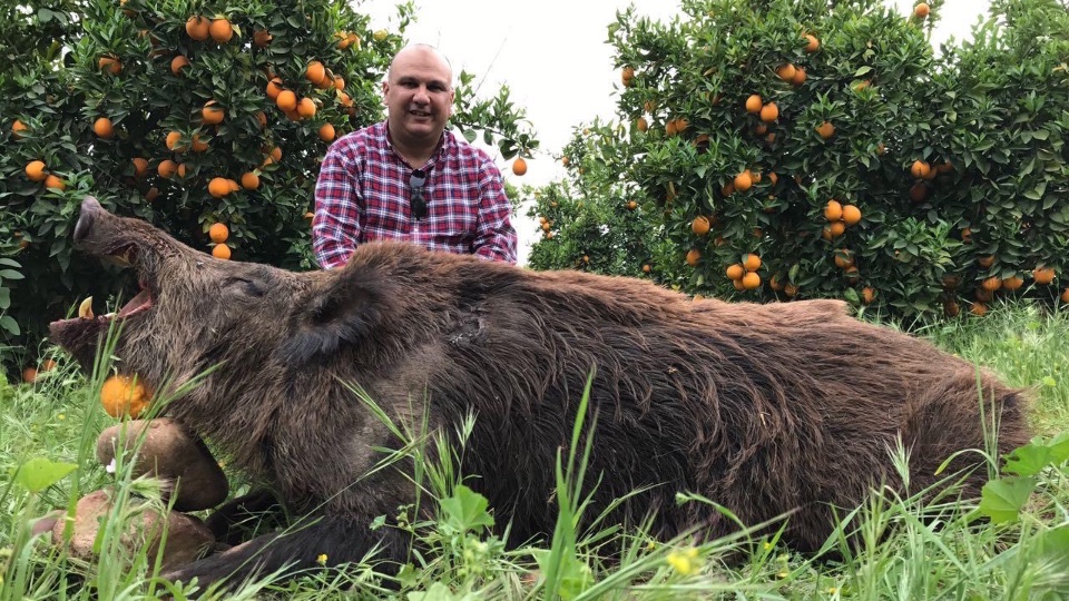 Wild Boar Hunting in Morocco