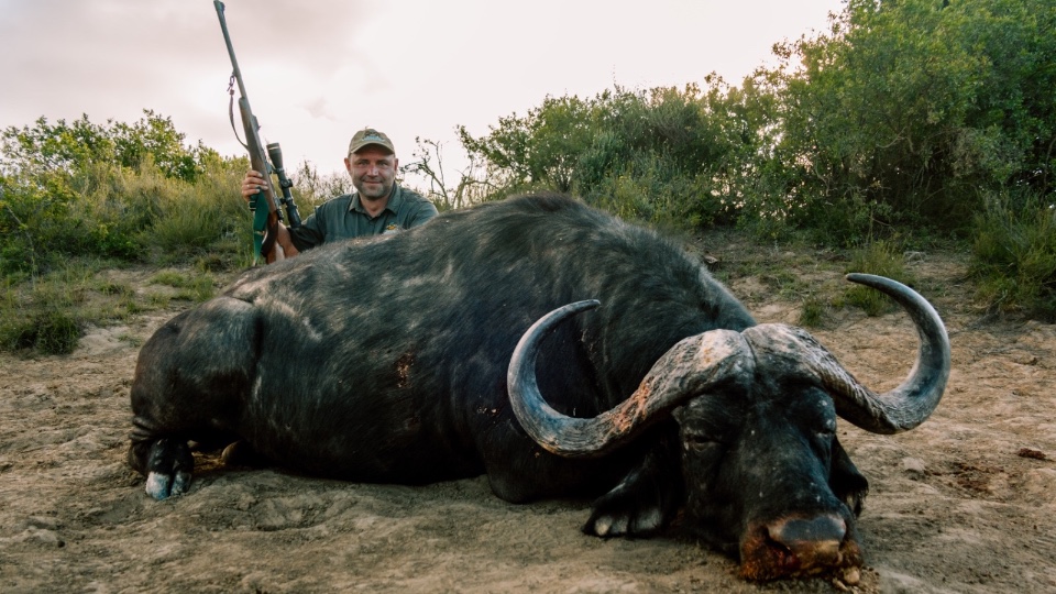 Caccia a 3 Trofei con Bufalo del Capo in Sudafrica