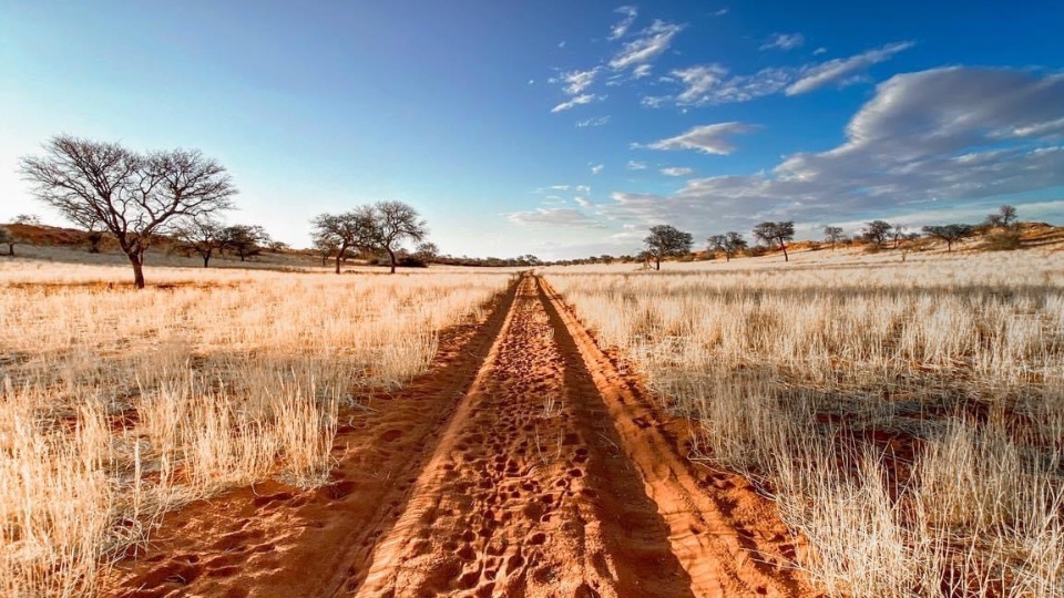 4-Trophy Hunt in the Kalahari, Namibia (2)