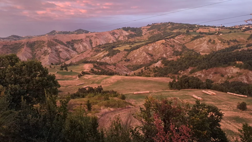 Caccia al Capriolo in Emilia-Romagna (4)