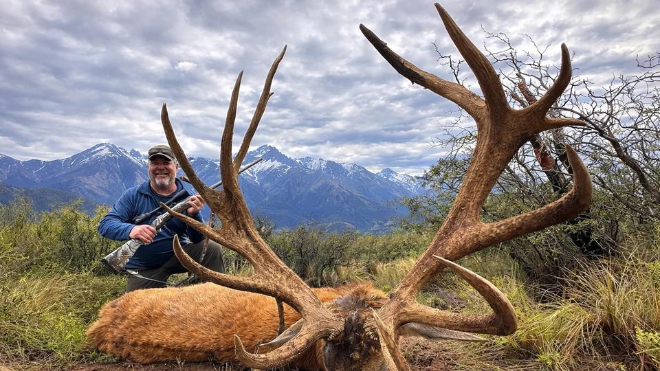 Free-Range Red Stag Hunt in the Patagonian Mountains
