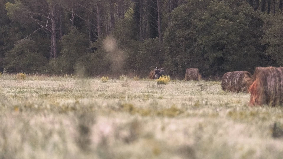 Caccia al Cinghiale con l’Arco in Toscana (8)