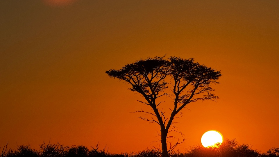 4-Trophy Hunt in the Kalahari, Namibia