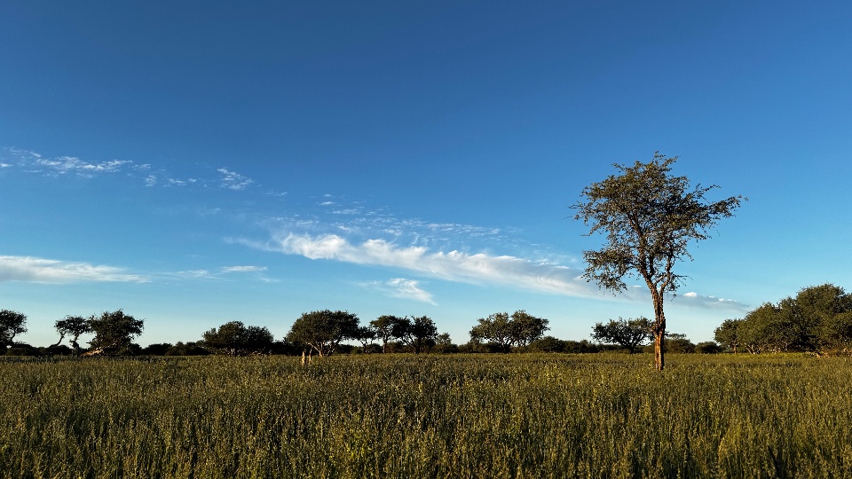 4-Trophy Hunt in the Kalahari, Namibia (3)