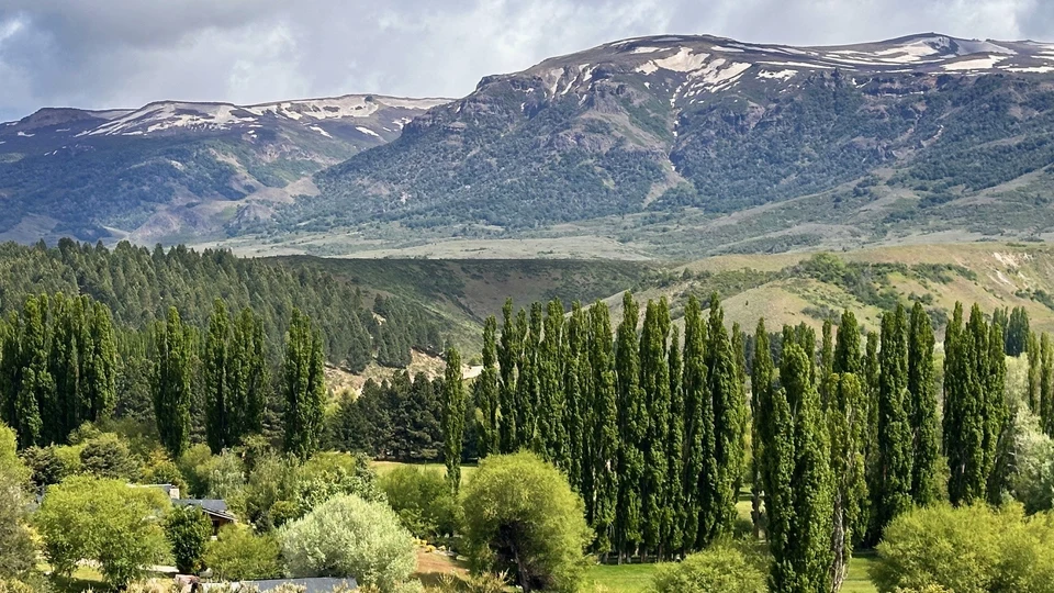 Free-Range Red Stag Hunt in the Patagonian Mountains (5)