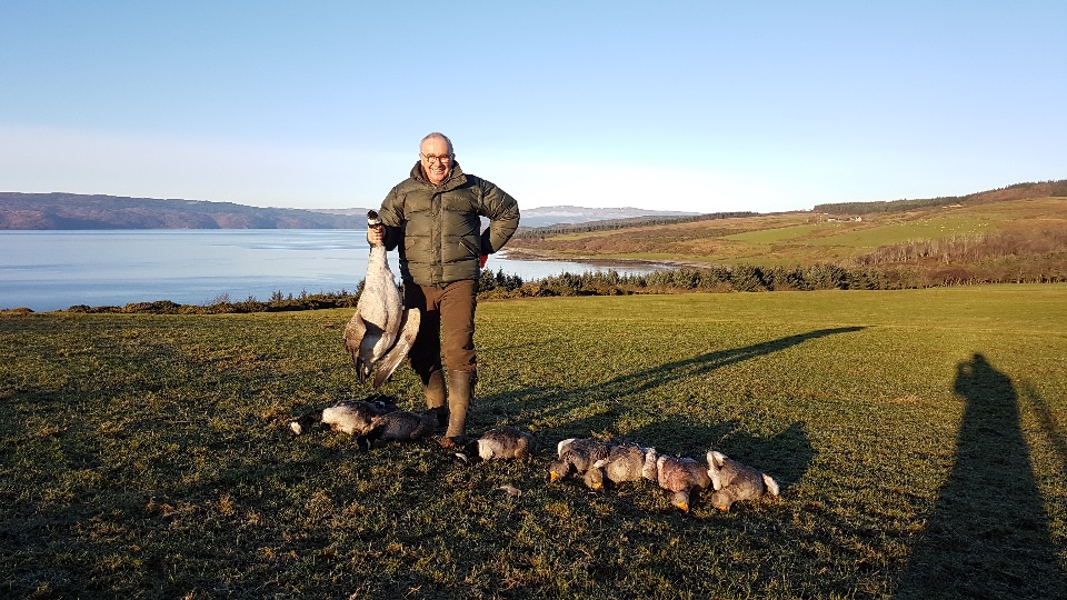 Goose and Duck Hunting in Scotland (7)