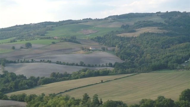 Caccia alla Piccola Selvaggina nelle Marche (4)