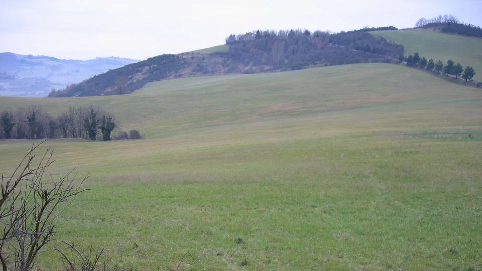 Caccia alla Piccola Selvaggina nelle Marche (6)