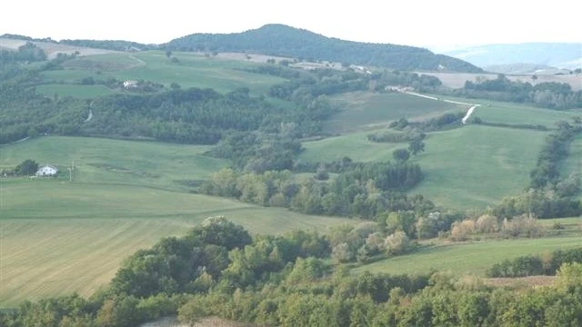 Caccia alla Piccola Selvaggina nelle Marche (7)