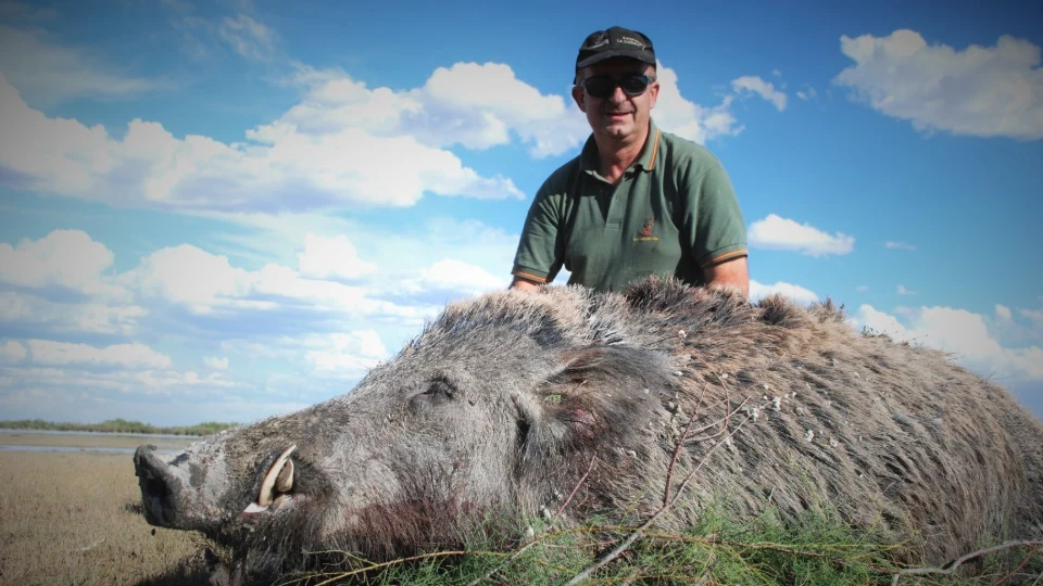 Caccia al Cinghiale in Argentina
