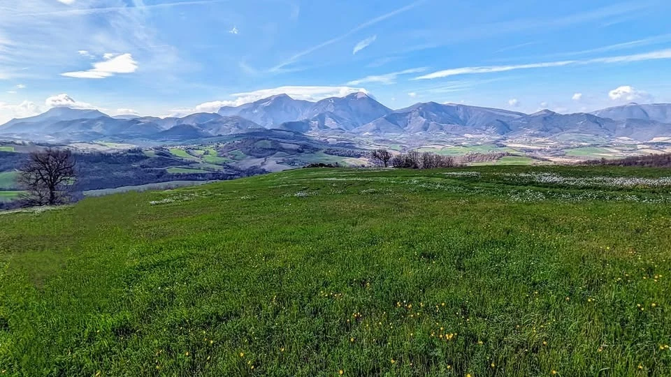 Caccia alla Piccola Selvaggina nelle Marche (3)