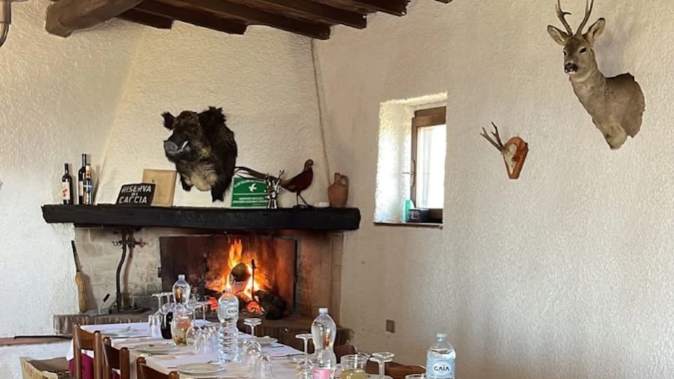 Caccia al Daino in Maremma (3)