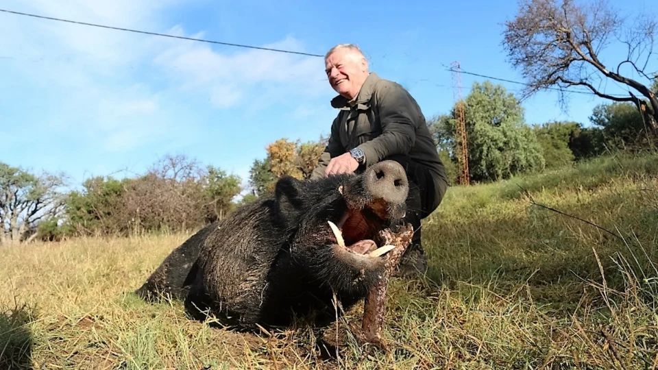 Caccia al Cinghiale in Argentina (3)