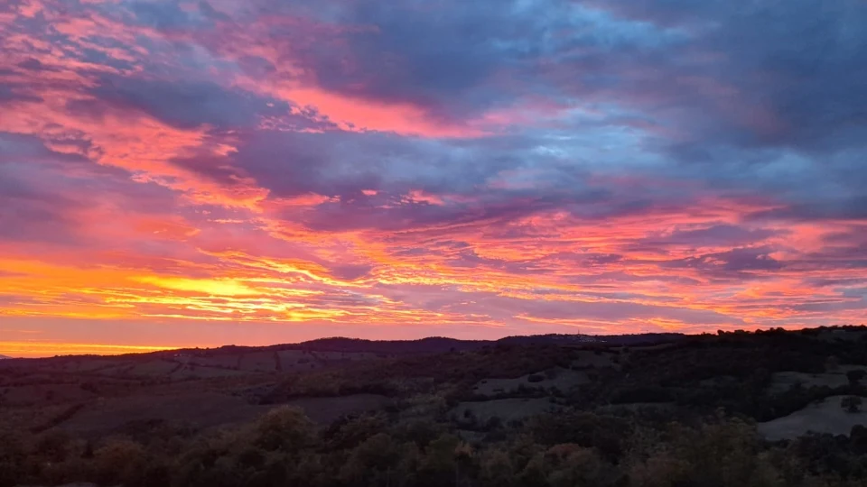 Caccia al Daino in Maremma (2)