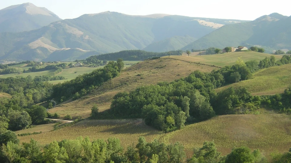 Caccia alla Piccola Selvaggina nelle Marche (2)