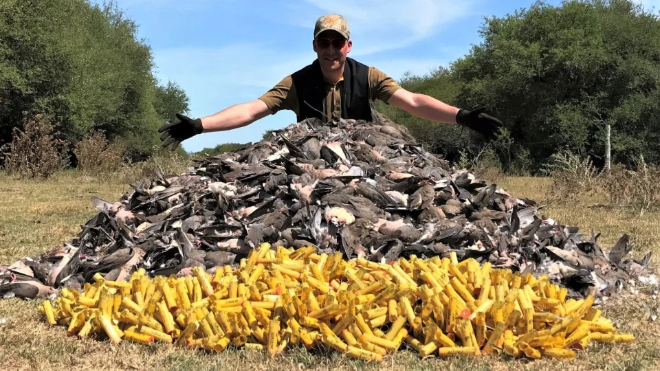 Caccia alle Tortore in Argentina