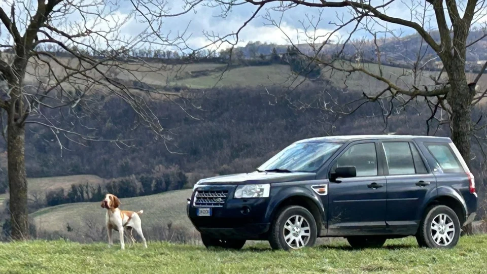 Caccia alla Piccola Selvaggina nelle Marche (3)