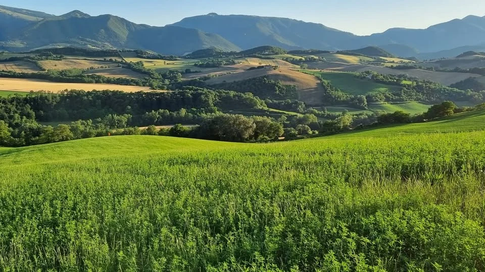 Caccia alla Piccola Selvaggina nelle Marche