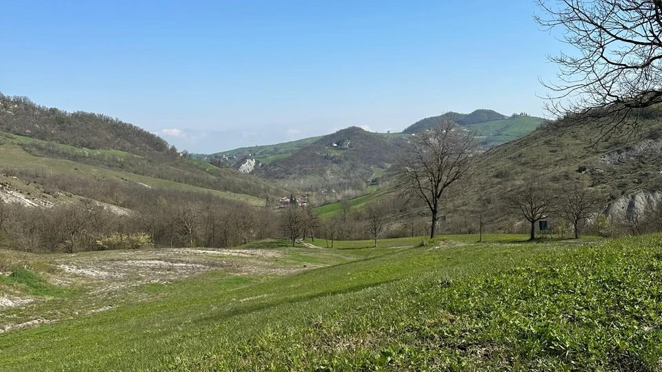Quota Annuale per la Caccia alla Piccola Selvaggina in Emilia-Romagna (6)