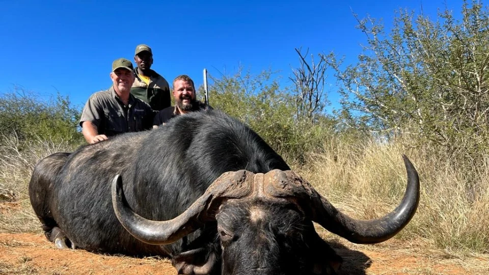 7 Day African Buffalo Hunt (3)