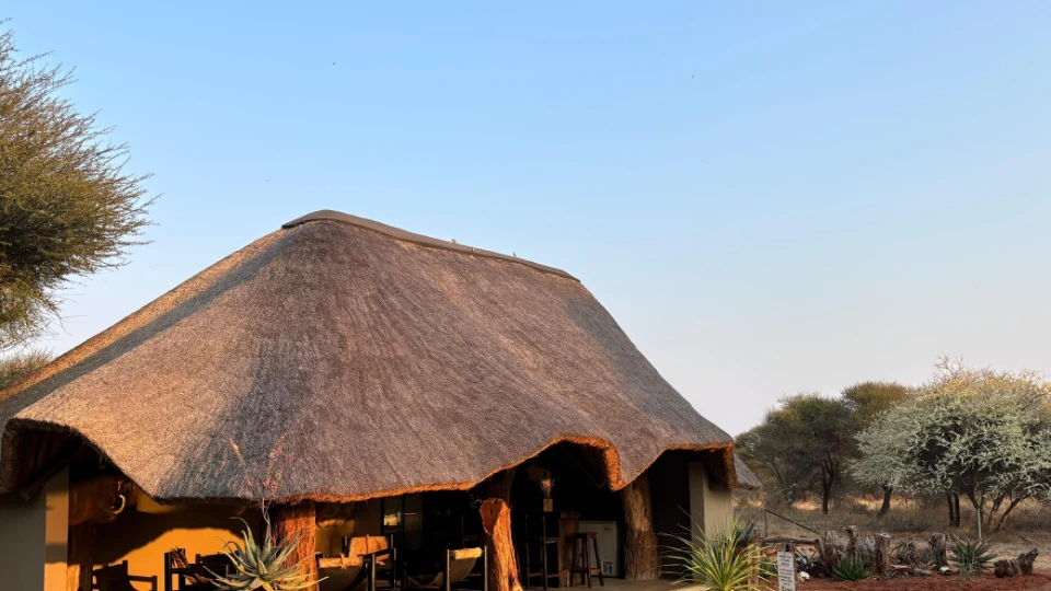 7 Day African Buffalo Hunt (2)