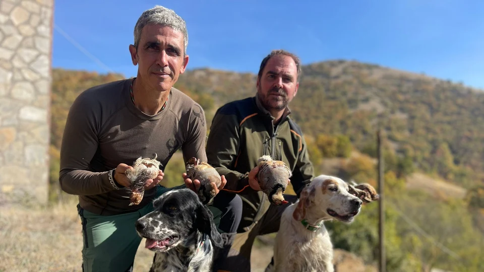 Starne e Coturnici (8)
