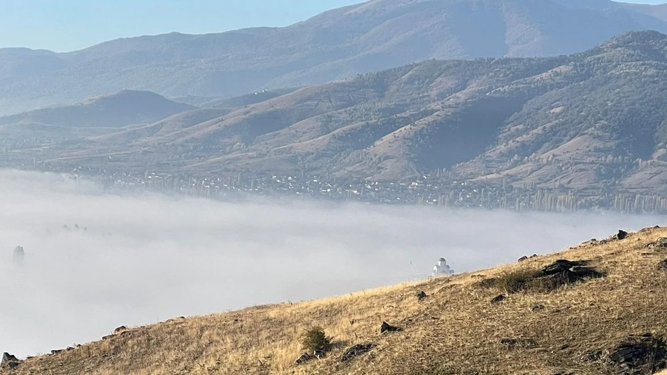 Starne e Coturnici (6)